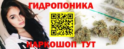 твердый Можга