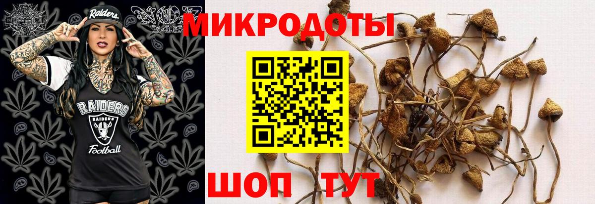 Юрга  как найти   Вход с VPN  Галлюциногенные грибы MAGIC MUSHROOMS 